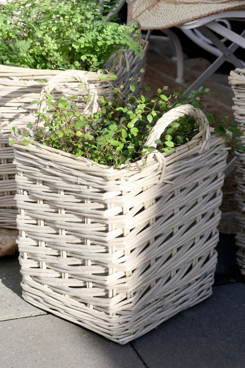 Chic Antique - Fransk Kurv m. Plastforing Sæt af 3, H33/Ø42 cm Natur - Billede 6