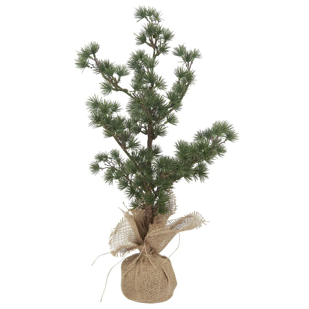 Ib Laursen - Cedertræ med jutefod - 60 cm - Billede 2
