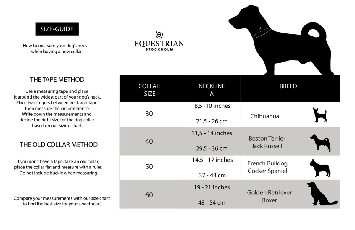 Equestrian Stockholm Hundehalsbånd - Champagne - Billede 4