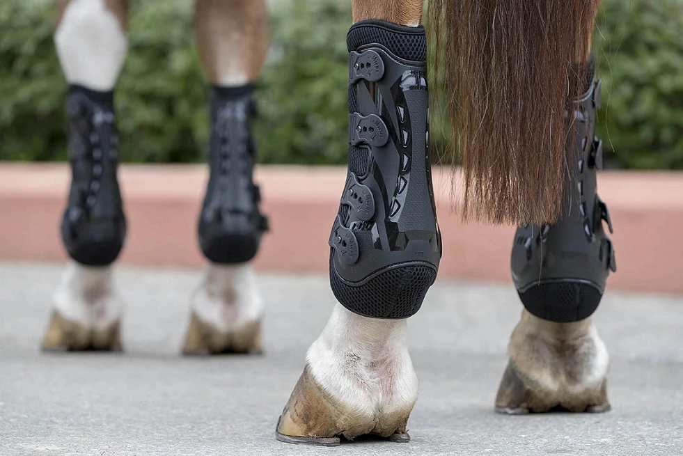 LeMieux Snug Boot Pro - Sorte - Billede 5
